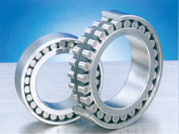 Double row cylindrical roller bearings Standard Series
